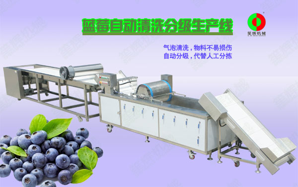 晋安蓝莓/蔬果全自动清洗分级生产线